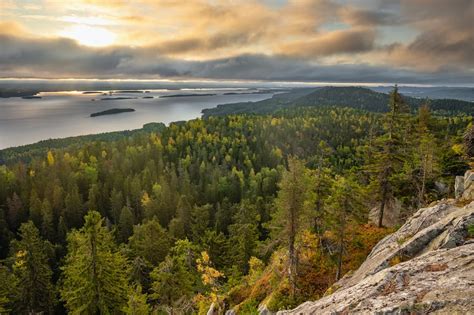 Koli National Park Finland Travel Info