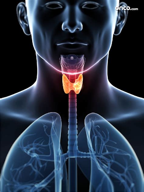 Throat Cancer Staging Oropharynx Cancer All About Cancer
