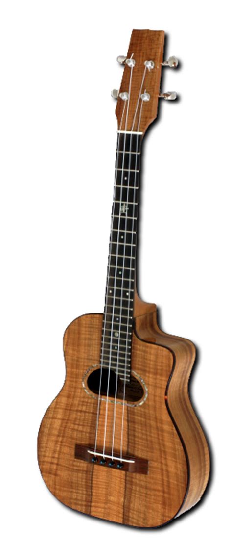 Ukulele - Mark Nelson