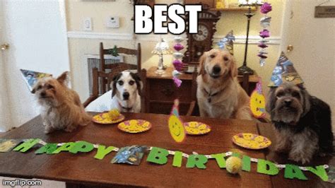 The 15 Best Happy Birthday Memes Of 2020