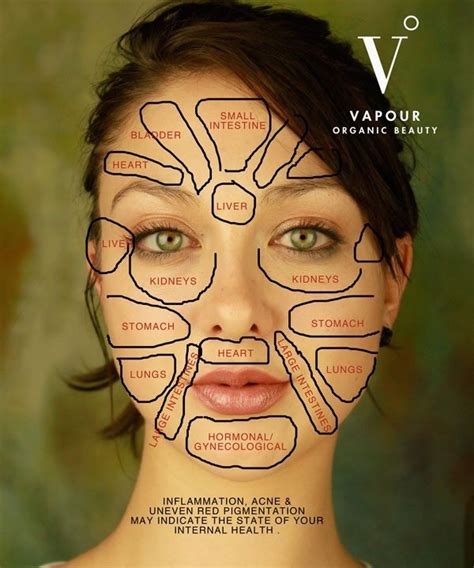 Chinese Face Map How Organs Link To Your Face Face Mapping Skin