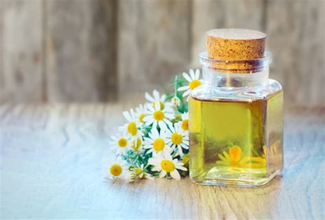 Check spelling or type a new query. Sembuhkan Luka Memar dan Nyeri Sendi dengan 8 Tanaman Obat ...