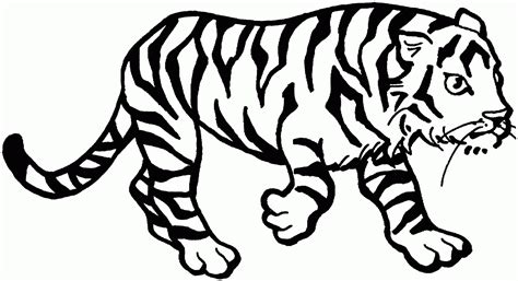 Galería de imágenes Dibujos de tigres para colorear