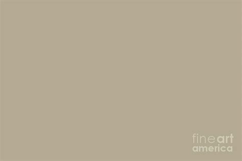 Neutral Beige Taupe Tan Solid Color Pairs To Sherwin Williams Universal