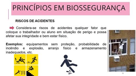 Quais São Os Três Princípios Da Biossegurança