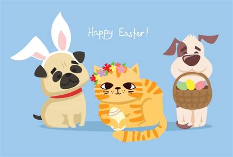 Dog Cat Easter Stock Photos Pictures And Royalty Free Images Istock