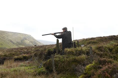 Government In Favour Of Grouse Shooting