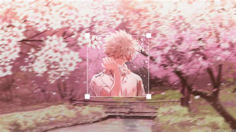 4k Cherry Blossom Closed Eyes Plants Trees Anime Boys Katsuki