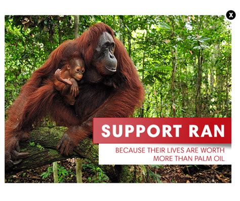 Rainforest Action Network