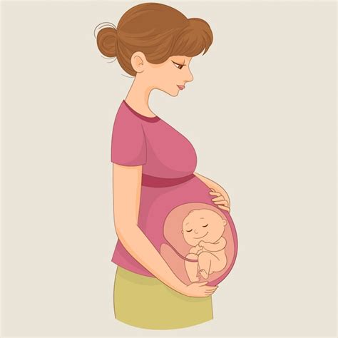 Arriba 97 Foto Mujer Embarazada Con Bebe Adentro Dibujo Lleno 102023