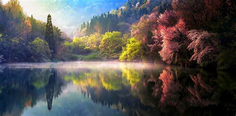 배경 화면 햇빛 나무 경치 화려한 숲 호수 물 자연 반사 언덕 아침 안개 강 대한민국 봄 가을