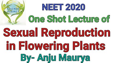 One Shot Lecture Of Sexual Reproduction In Flowering Plants By Anju