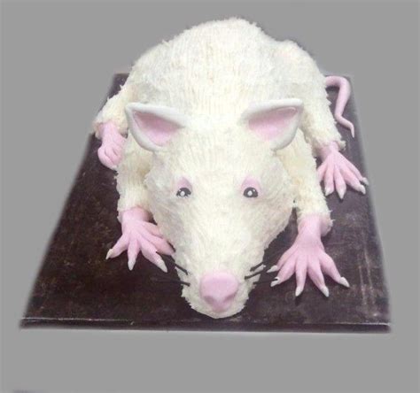 The Rat Cake Custom Cakes Sculpted Cakes Pet Rats