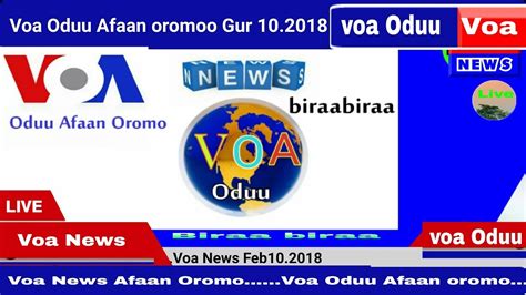 Voa Oduu Afaan Oromoo 10 Gur 2018 Youtube
