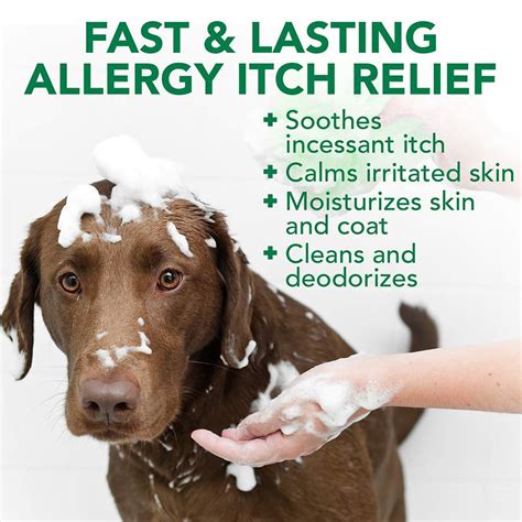 Sep 24, 2020 · apoquel. Vet's Best Allergy Itch Relief Dog Shampoo 16 oz ...