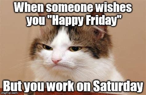 Find the newest saturday workout meme meme. working Saturday meme pictures 16