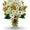 Maybe you would like to learn more about one of these? Top 482 Avas Flowers Reviews