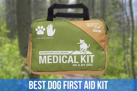 Best Dog First Aid Kit New For 2024 Woof Whiskers