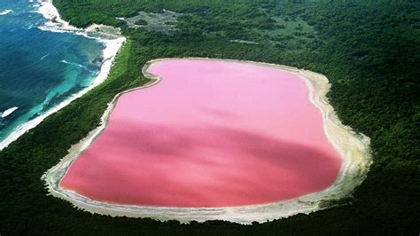 Lago Rosa Existe Conheça O Lago Hillier Os Lugares