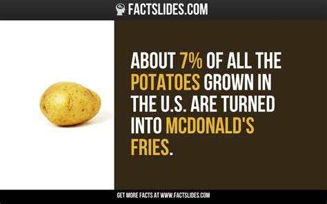 25 Facts About Mcdonald S ←factslides→ About 7 Of All The Potatoes Grown In The U S Are Turned
