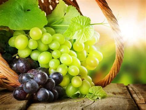 manfaat buah anggur bagi kesehatan alodokter