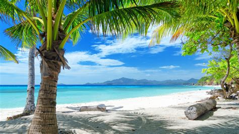 Tropical Sand Beach Palm Trees Ocean Blue Sky With White Clouds Desktop