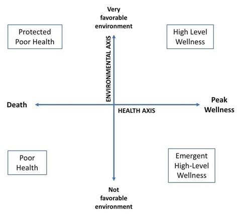 6 Dunns Health Grid Modeling External Environment And Its