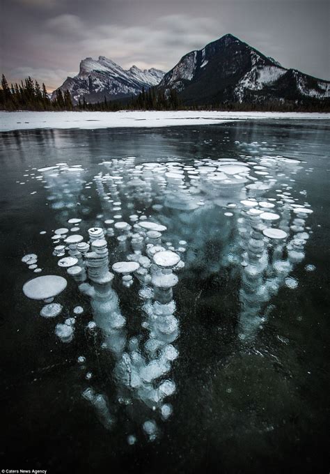 Icy Jellyfish No These Strange Phenomena Are Frozen Methane Bubbles