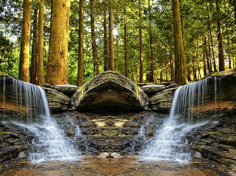 Trees Creek Forest Waterfall Stones Wallpapers Hd Desktop And