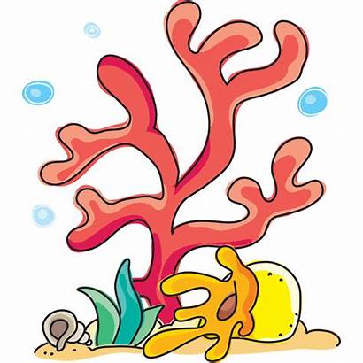 Coralli Corales Coral Cartoon Reef Leostickers Colorare