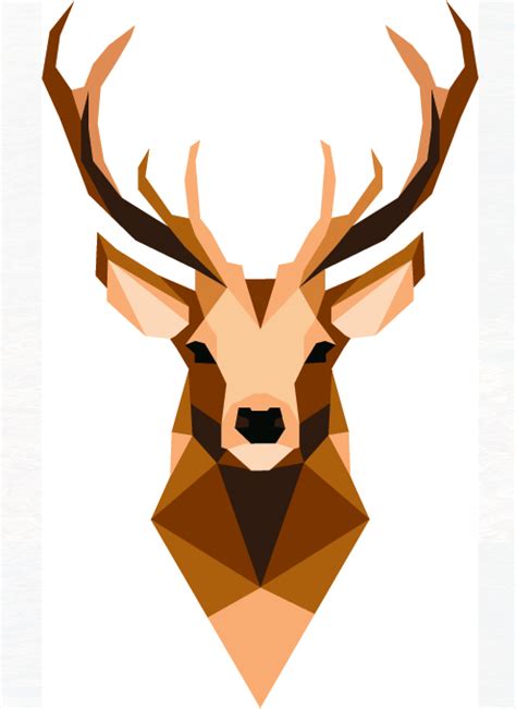Geometric Deer Art Illustrations