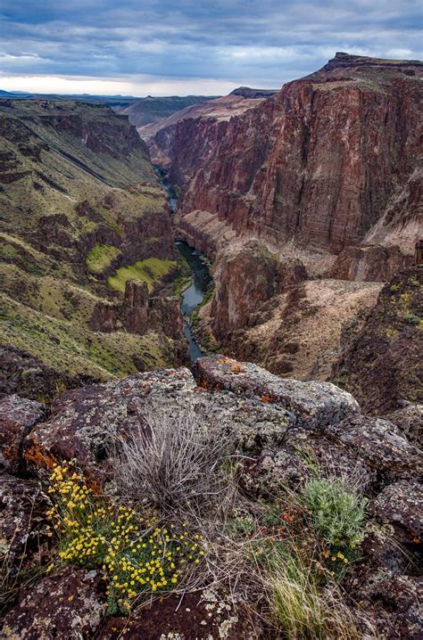 Extreme Oregon The Grand Canyon Of Oregon The Owyhee River Nature