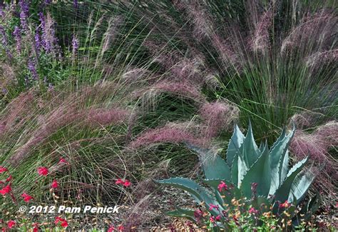 Plant This Gulf Muhly Grass Digging