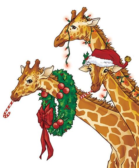 47 Christmas Giraffe Wallpaper Wallpapersafari