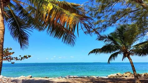 Top 15 Beaches In The Florida Keys Triphobo