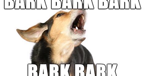 Bark Meme On Imgur