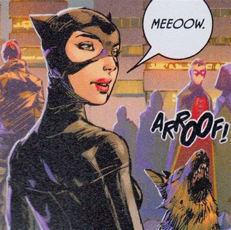 Pin By Viktor Aquino On Catwoman Catwoman Batman Universe Gotham City