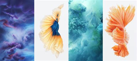 Download Iphone 6s Official Live Photos Dynamic Wallpapers