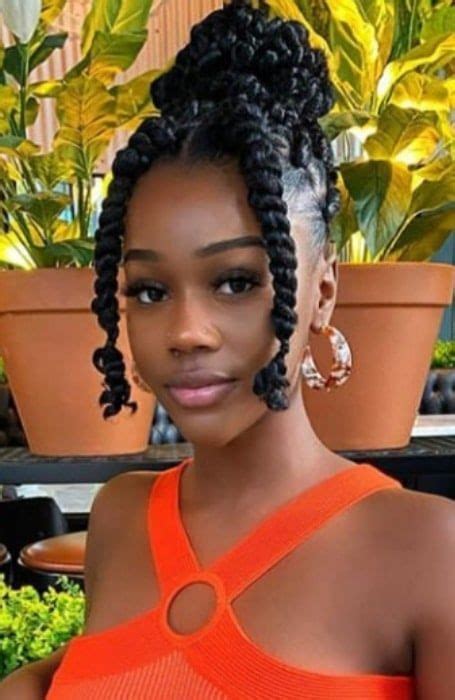 30 Passion Twist Hairstyles To Try In 2023 The Tend Spotter Braided