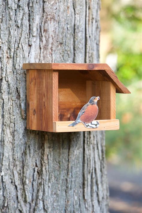 American Robin Cedar Bird House Etsy