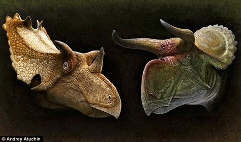 Triceratops Used Its Terrifying Horns To Attract Sexual Partners