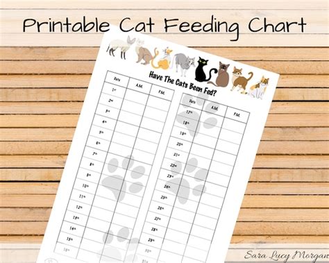 Monthly Printable Cat Feeding Chart Cat Food Schedule Pet Etsy Finland