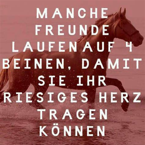Bei den serienzitaten findest du die besten sprüche und zitate aus serien wie how i met your mother, grey's anatomy oder scrubs. Wer kennt schöne Pferdesprüche? (Englisch, Pferde, Sprüche)