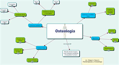 Osteologia Osteologia