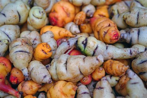10 Weird Vegetables That Will Suprise You Nomad Paradise