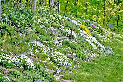 How To Plant Perennials On A Steep Slope Image To U
