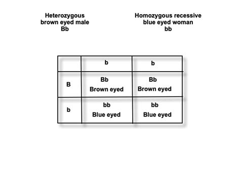 Blue Eye Colour Is Recessive To Brown Eye Colour A Brown Eyed Man Whose Mother Was Blue Eyed