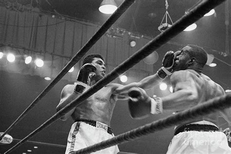 Boxers Clay And Liston Fighting By Bettmann