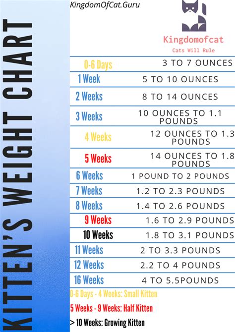 Kitten Cat Weight Chart By Age Kg