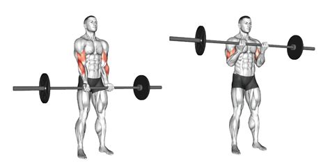 10 Best Barbell Workouts For Biceps Size And Strength Born Tough